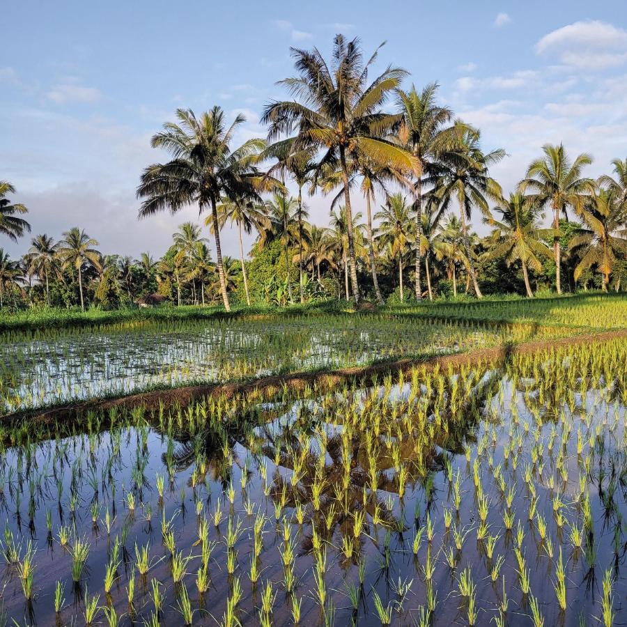 Отель Les Rizieres Lombok - Тетебату Экстерьер фото